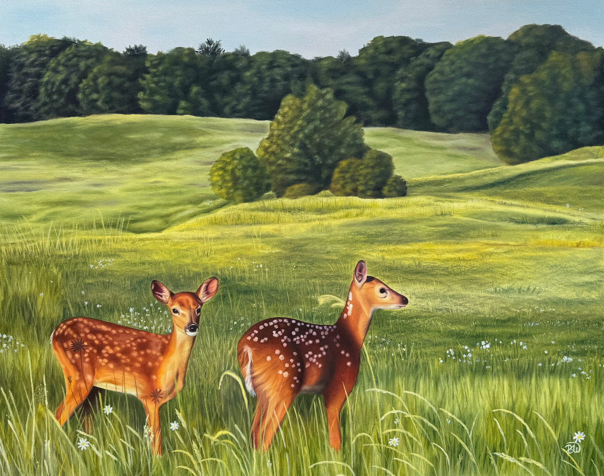 Deer
