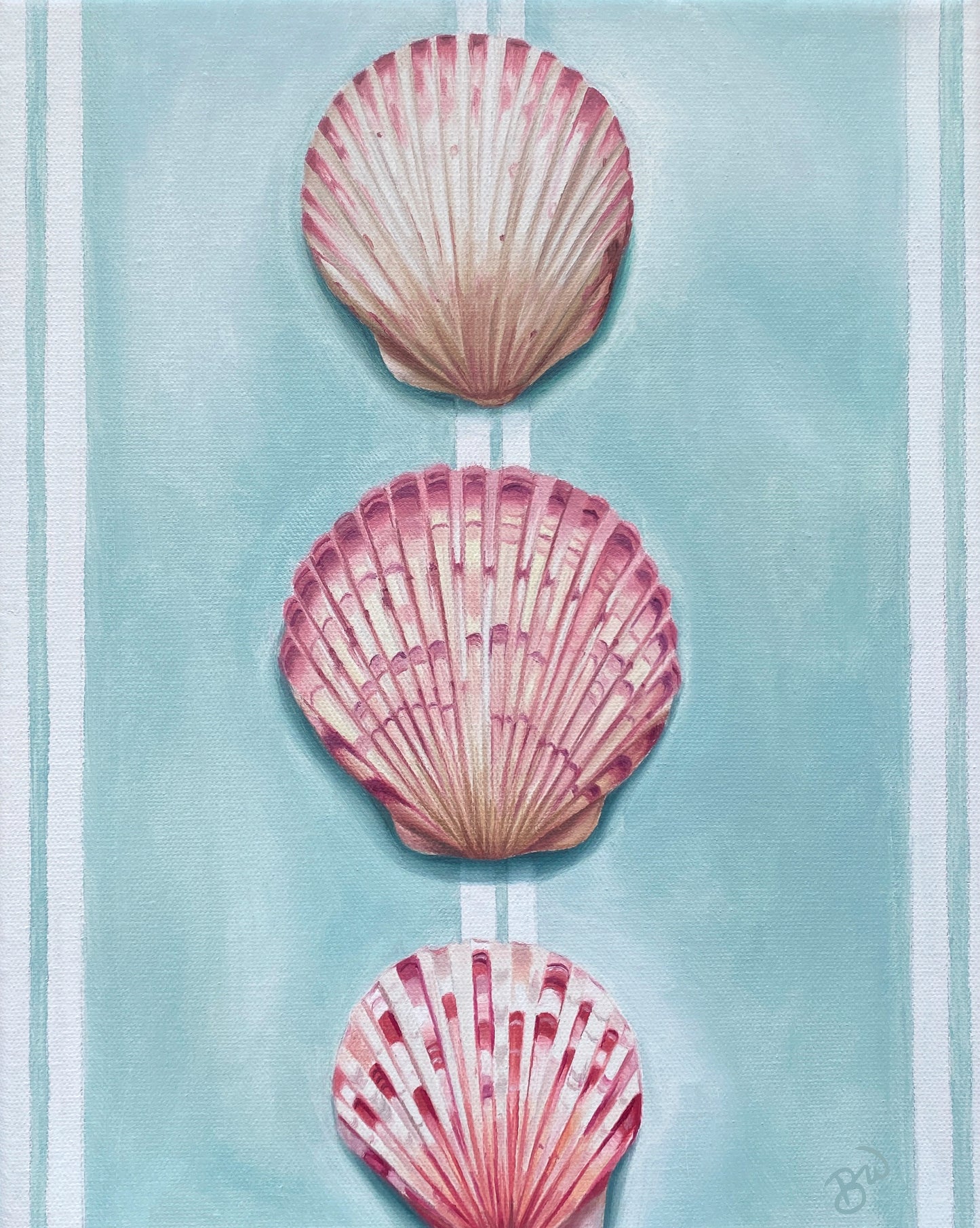 Summer Shells